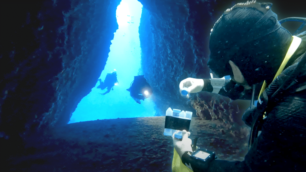 Les ABYSSES DE LA MÉDITERRANÉE [VIDÉO] Bleu Tomate le mag