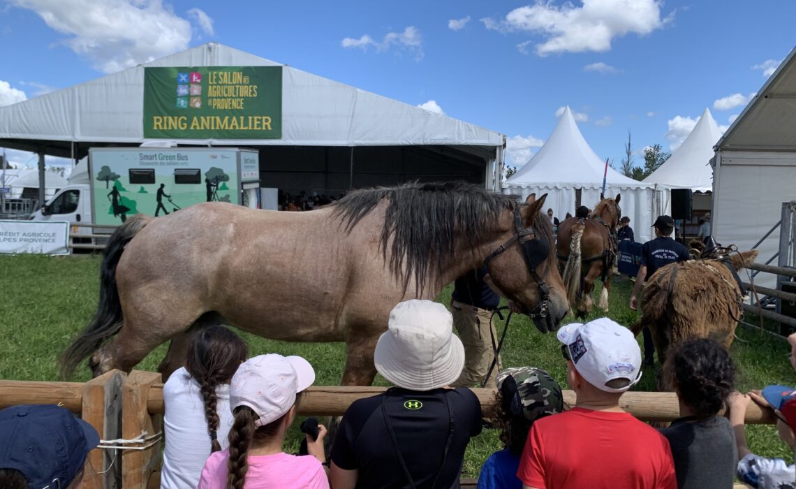Des enfants assistent à une démonstration de chevaux de traits au Salon des agriculteurs de Provence