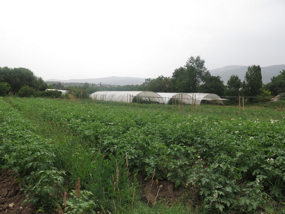 les champs et les serres de la régie municipale de Mouans Sartoux