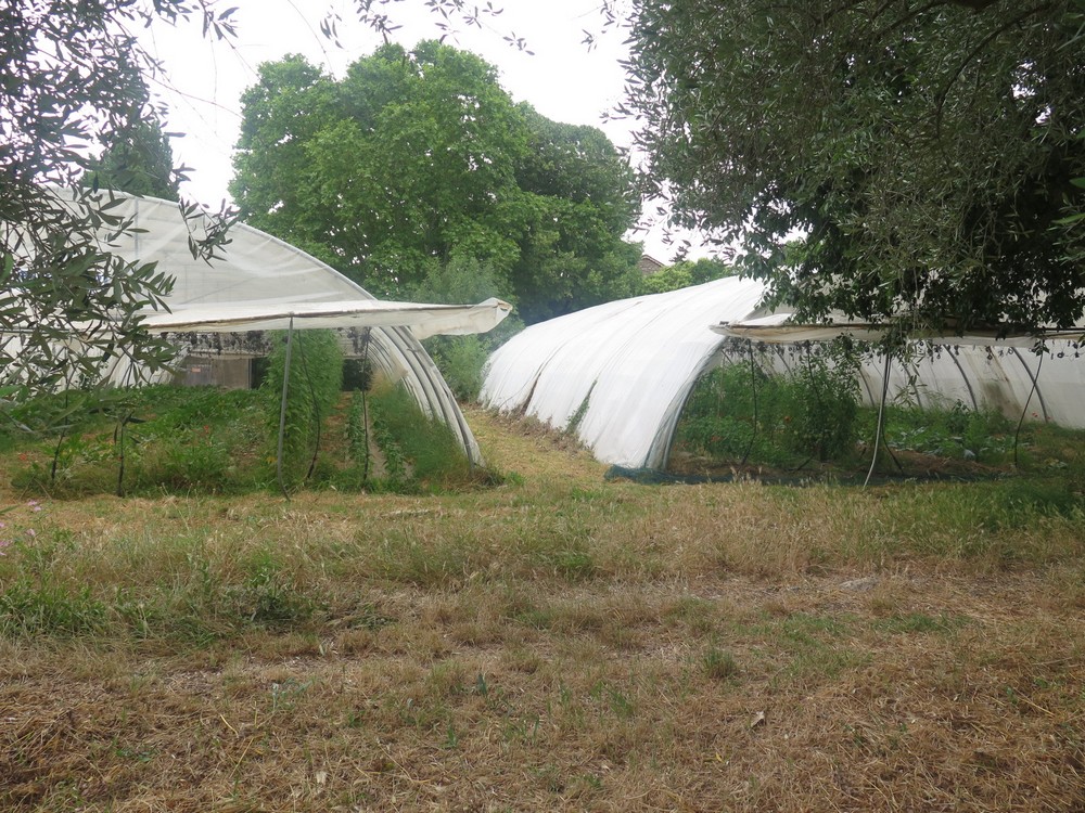 deux serres à la régie agricole de Mouans Sartoux