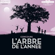 affiche concours Arbre de l'année 2024 avec Terre Sauvage et l'ONF