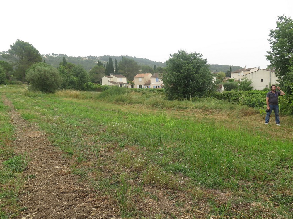 les champs de la régie agricole de Mouans Sartoux