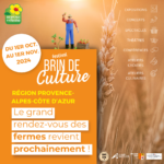 Affiche infographie brin de culture