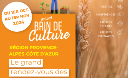 Affiche infographie brin de culture