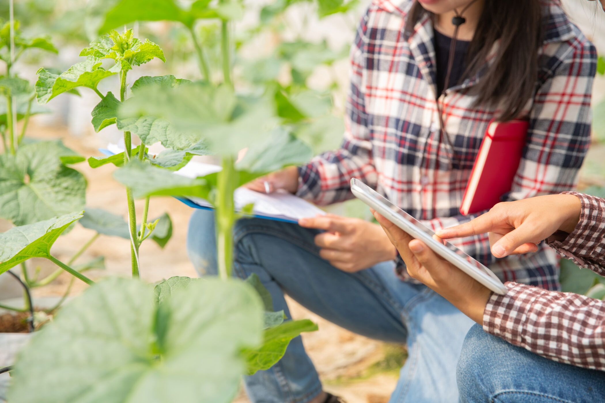 Illustration salon MED'Agri