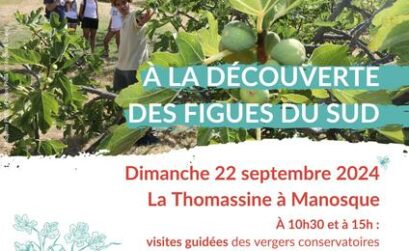 affiche journée découverte figues du Sud à la Thomassine