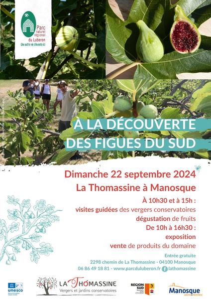 affiche journée découverte figues du Sud à la Thomassine