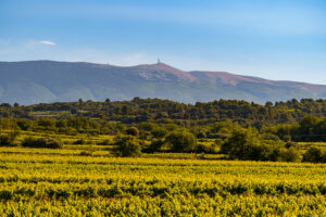 les vignobles de l'AOC Ventoux