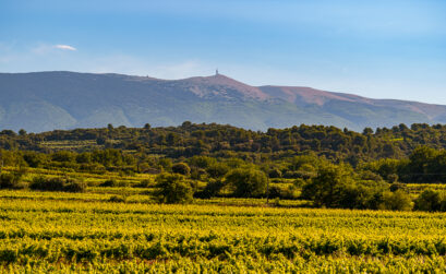 les vignobles de l'AOC Ventoux