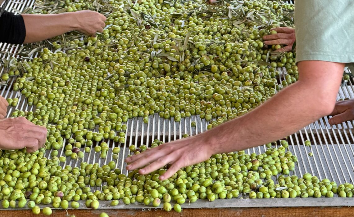 Dans le Luberon, les Artisans Oliverons se regroupent dans une démarche coopérative et durable.