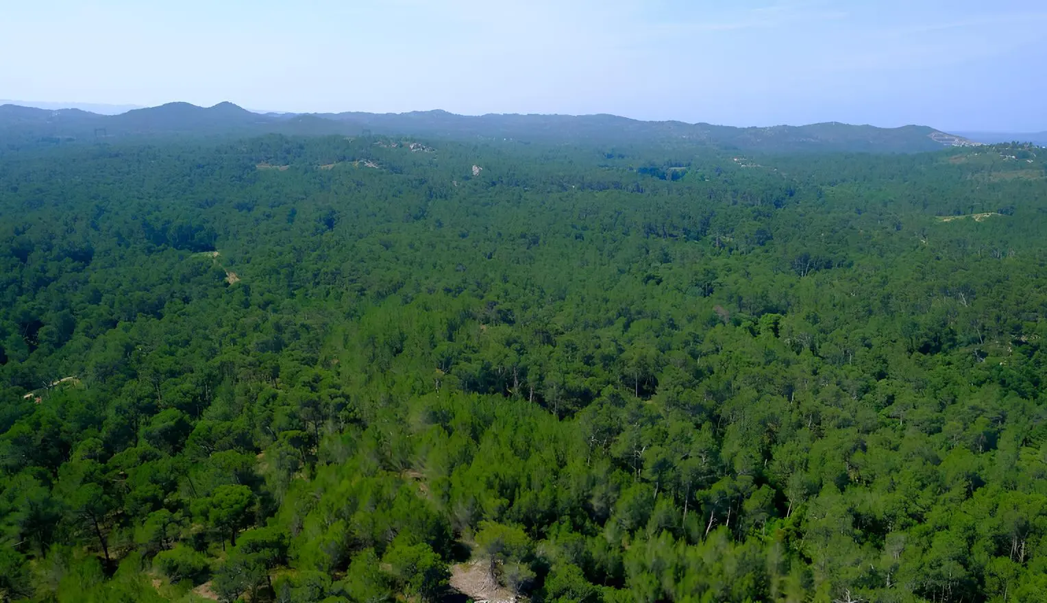 Reboiser la montagnette