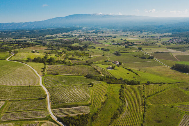 les vignobles du Ventoux