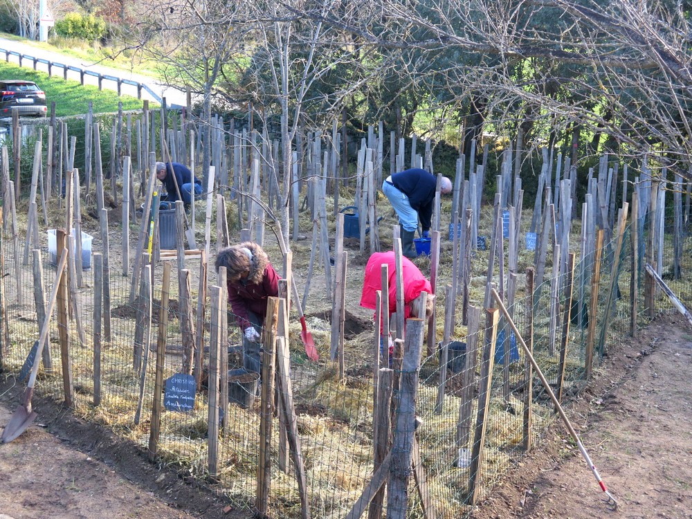 les jardiniers bénévoles s'activent dans la future microforêt