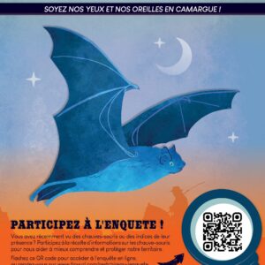 Wanted ! Avez vous vu des chauves souris en Camargue ?? Bleu Tomate le mag