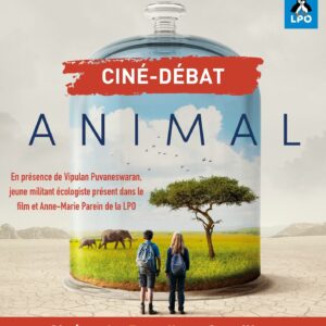 Projection du film "Animal" de Cyril Dion Bleu Tomate le mag