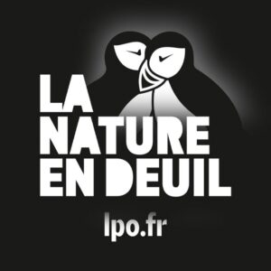 La Nature en deuil : se retrouver à son chevet avec la LPO PACA Bleu Tomate le mag